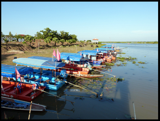 Water Buffalo and tourist boats.